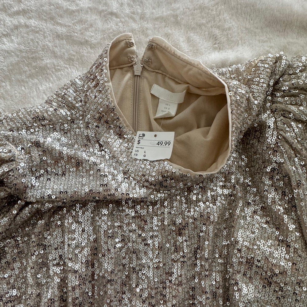 H&M Silver Sequin Dress - Picture 4 of 5
